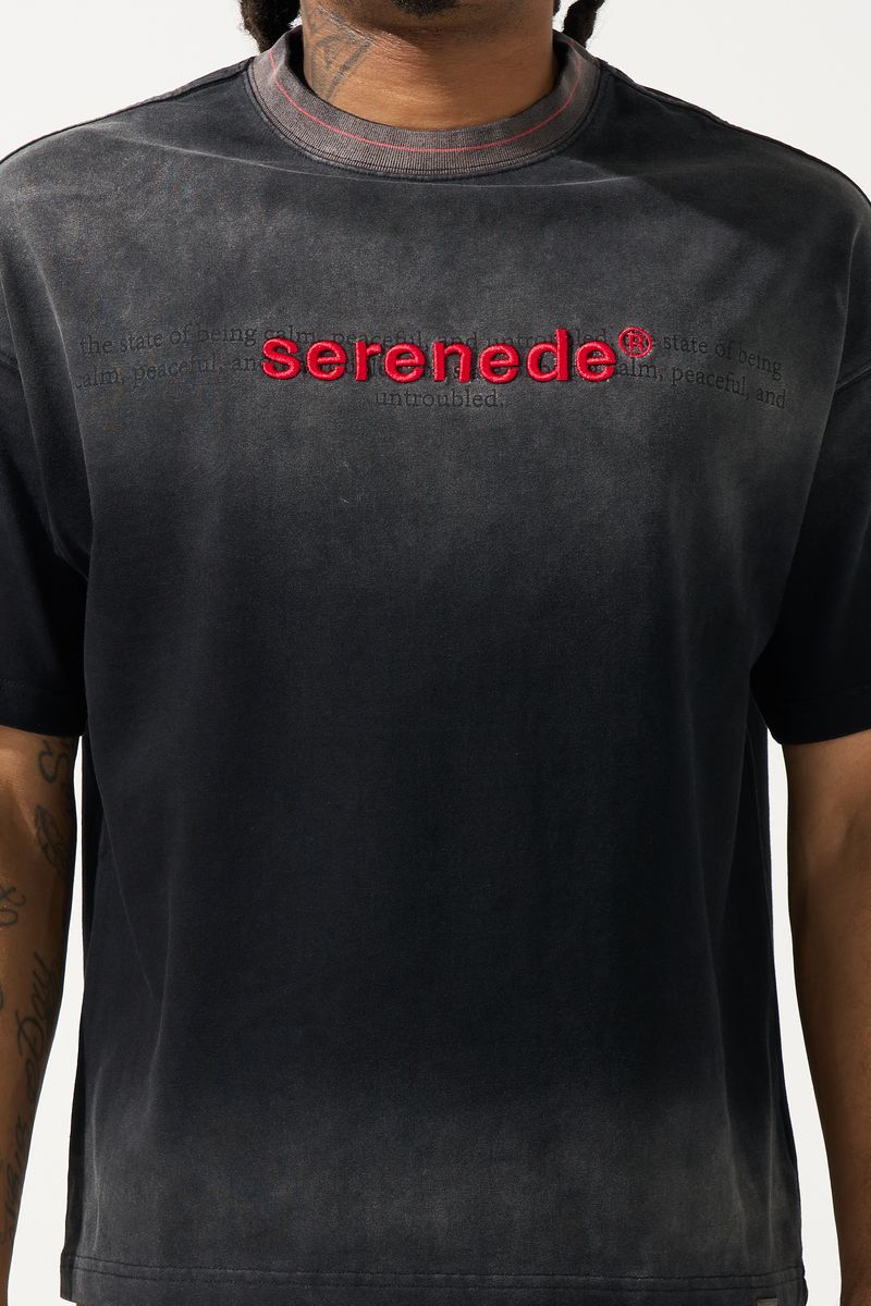 SERENEDE SKYLETTER Granite T-Shirt