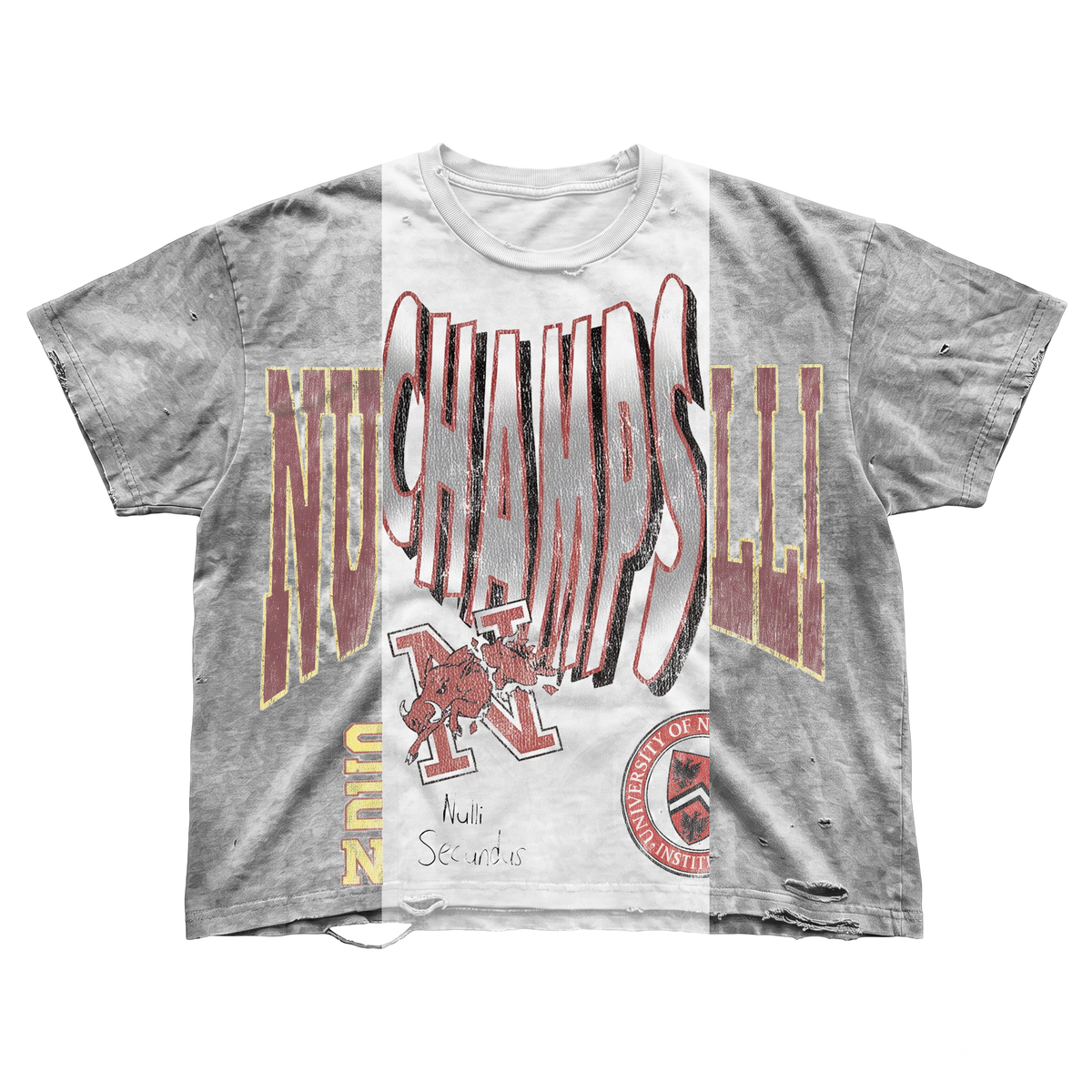 NULLI University Repair Tee