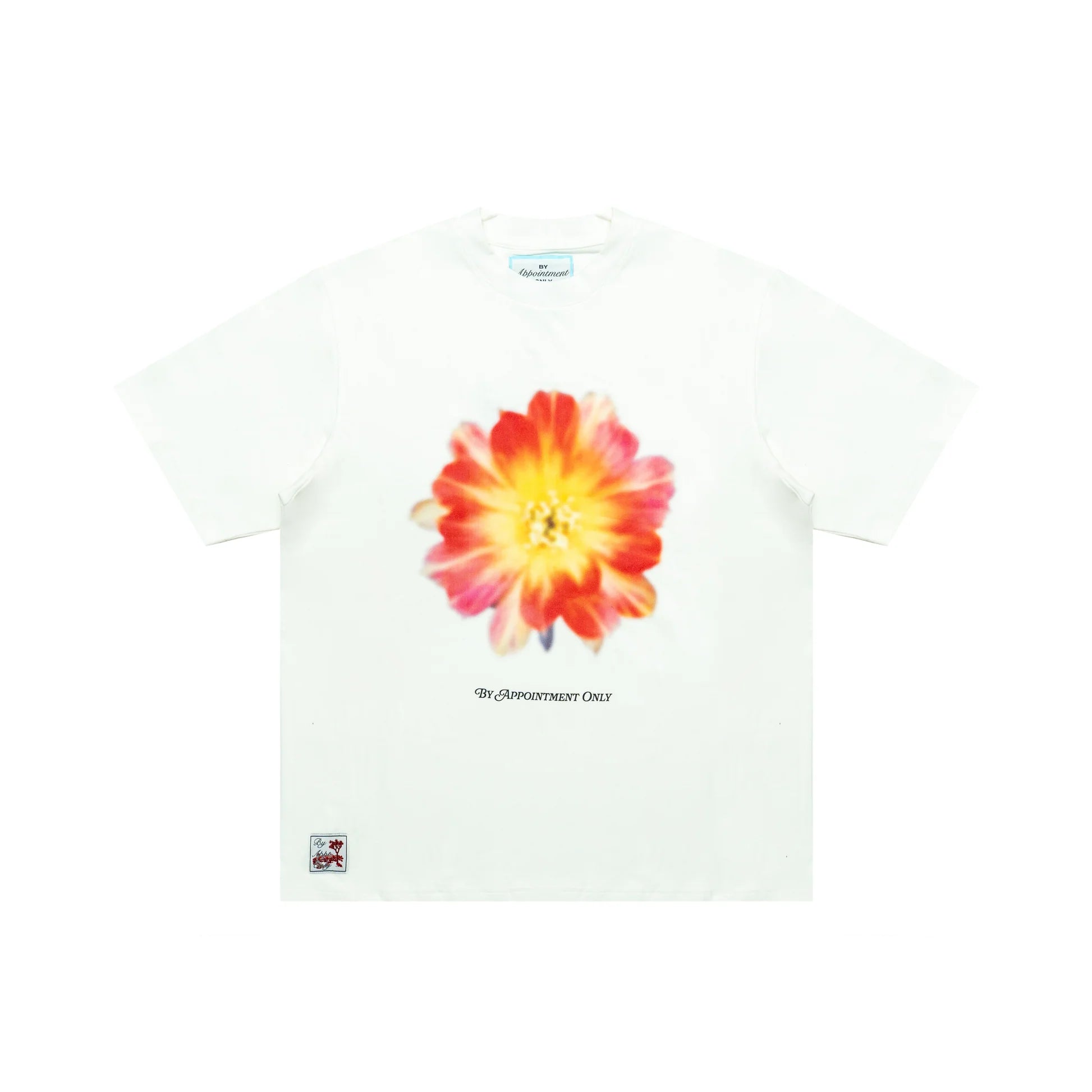 BY APPOINTMENT ONLY | DESERT FLOWER