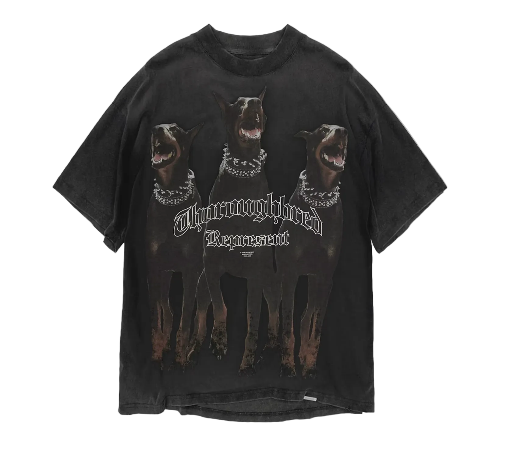 REPRESENT Thoroughbred T-Shirt Vintage Black