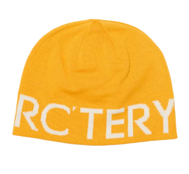 Arc'teryx Word Head Toque in Larch/Arctic Silk