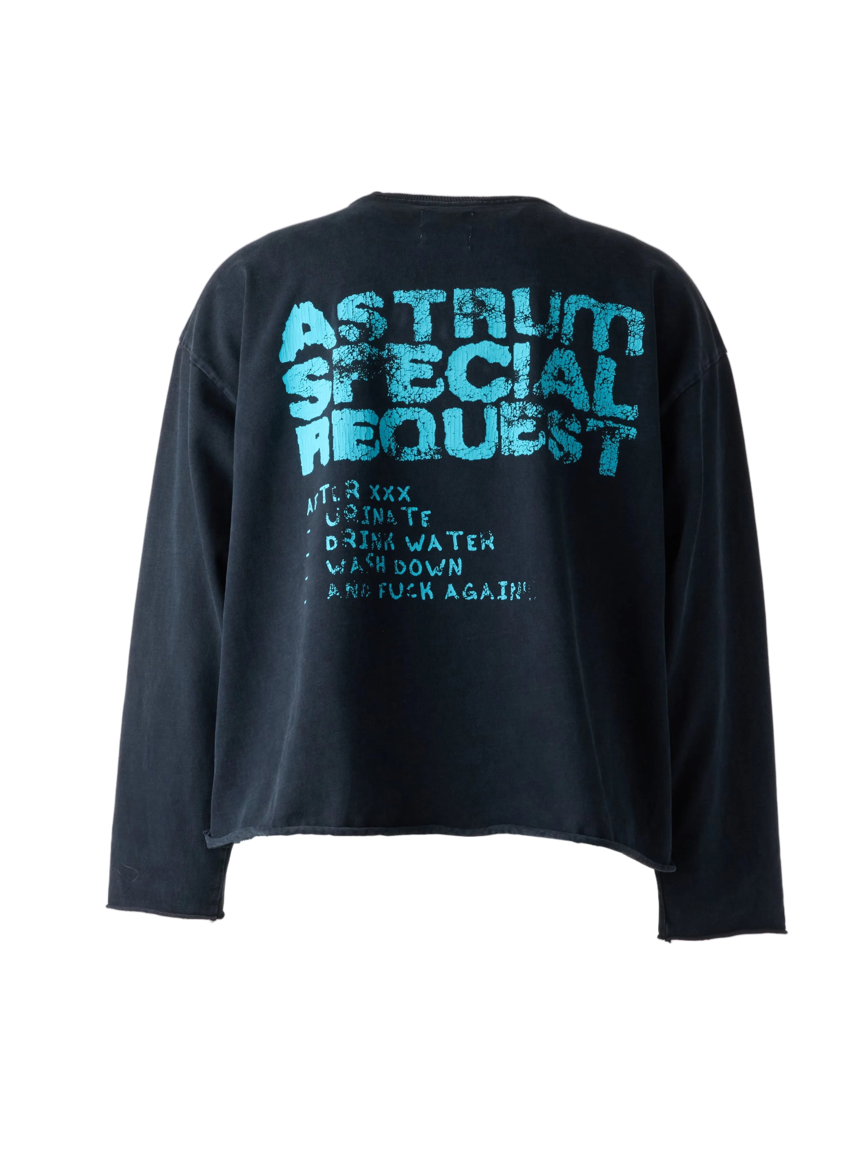 ASTRUM SPECIAL REQUEST LS TEE